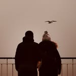 beeinplaces profile picture