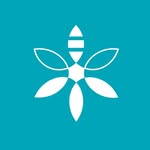 beepeaceofficial profile picture