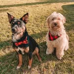 beesleyandcash profile picture