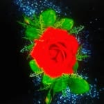 behjat4586 profile picture