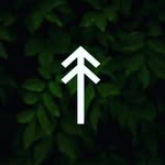 belgeselidea profile picture
