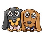bella_and_bailey_the_dachies profile picture