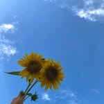bellaerl_ profile picture