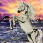 bellasaracarddaily profile picture