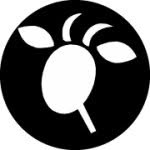 bellechevre profile picture