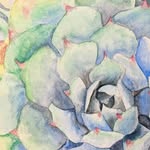 bellemon_arts profile picture