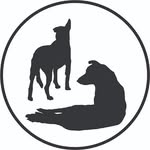 beltrame_mgmt profile picture