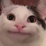 beluga1000 profile picture