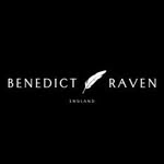 benedictravenuk profile picture