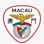 benfica.macau.academy profile picture