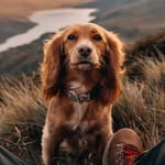 benhughes44 profile picture