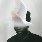benjaminclementine profile picture