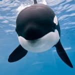 benjuc200 profile picture