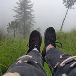 benn_y4295 profile picture