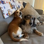 bennyandvinny profile picture