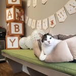 bensonhurstvetcare profile picture