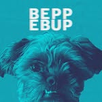 beppebup profile picture