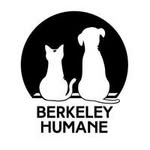 berkeleyhumane profile picture