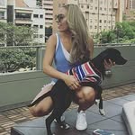 berlindivanow profile picture