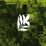 berlinflorafestival profile picture