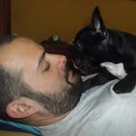 bernardogpimenta profile picture