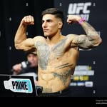 bernardo_sopai profile picture