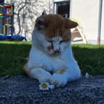 berni.grasmu profile picture