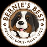 bernies.best profile picture