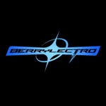 berrylectro profile picture