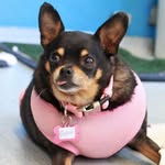 bertha_birdie profile picture