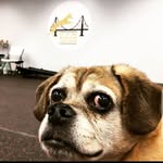 bertha_gets_bitty profile picture