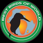 best_birds_of_world profile picture