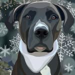 bestboybootsie profile picture