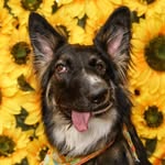 bestboybrodie profile picture