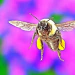 bestholistichealth profile picture
