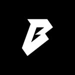 bestia_corp profile picture