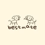 bestmate.studio profile picture