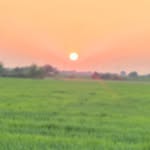 best_of_bamroli_1 profile picture
