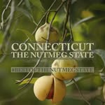 bestofthenutmegstate profile picture