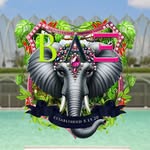 betaalphaxi.sl profile picture