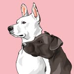 bethandrell profile picture