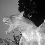 betopintomora profile picture