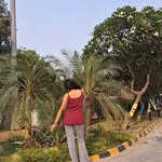 betterthanyourfakediva profile picture