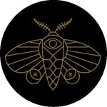 beunbound_ profile picture