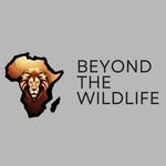 beyond_the_wildlife profile picture