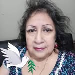 bf782593 profile picture