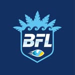 bflusa profile picture