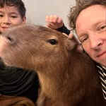 bgreeno profile picture
