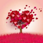 bhaawesh profile picture