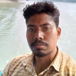 bhabanishankar.das profile picture